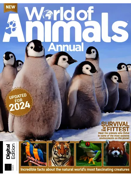 World of Animals Annual Volume 10 2024