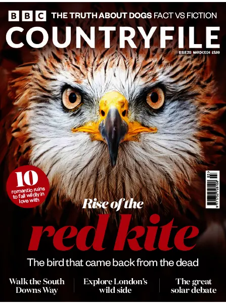 BBC Countryfile Magazine – March 2024 Download PDF