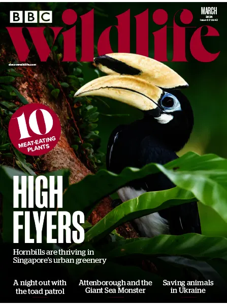 BBC Wildlife Magazine March 2024