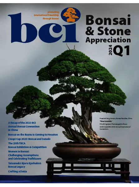 BCI Bonsai Stone Appreciation Magazine Q1 2024
