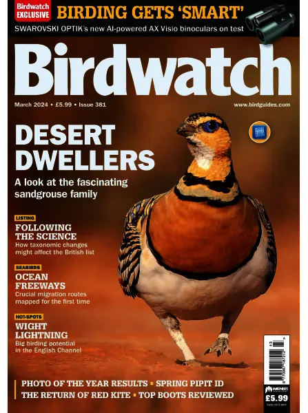 Birdwatch UK March 2024