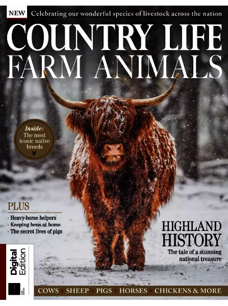 Country Life Book of Farm Animals 1st Edition 2023