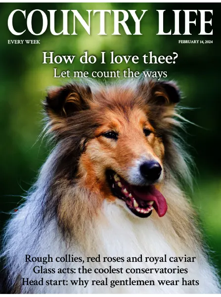 Country Life UK February 14 2024
