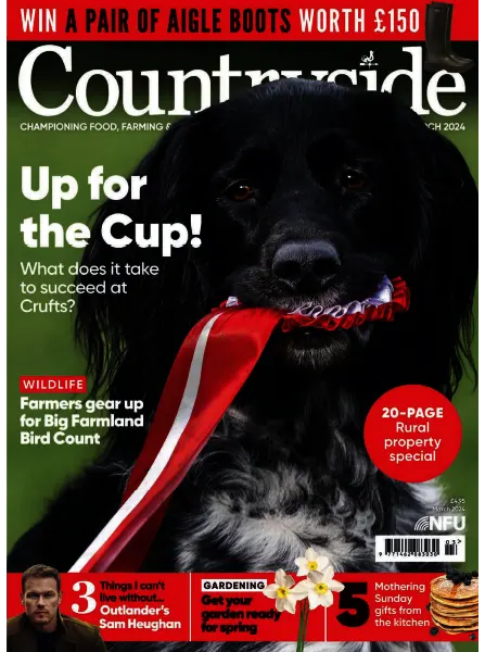 Countryside March 2024