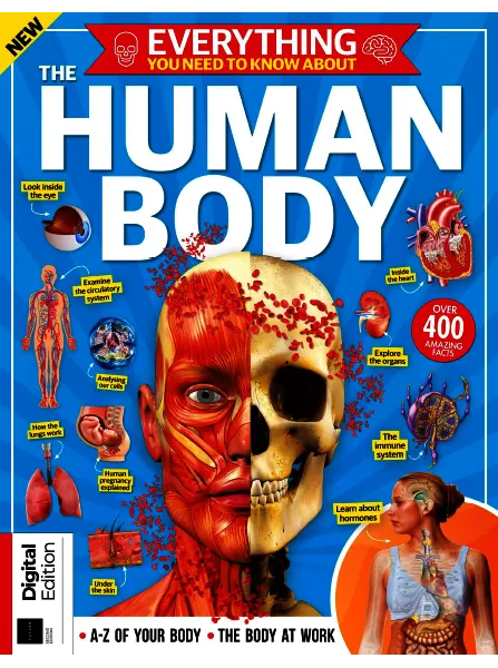 How it Works Everything You Need To Know About The Human Body 2nd Edition 2024