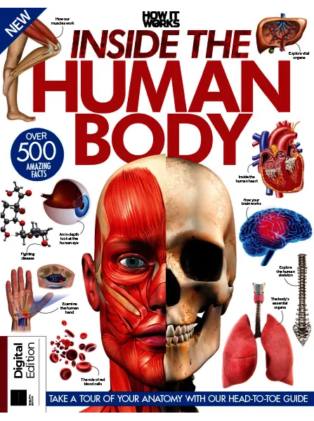How It Works Inside The Human Body 12th Edition 2023