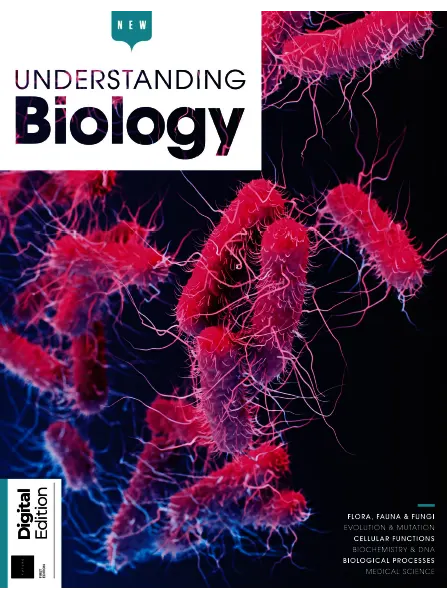 How It Works Understanding Biology 1st Edition 2024