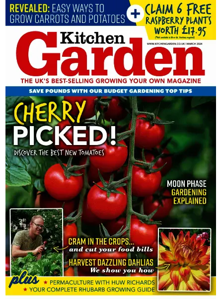 Kitchen Garden March 2024