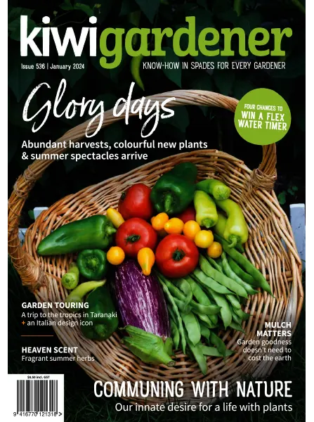 Kiwi Gardener January 2024