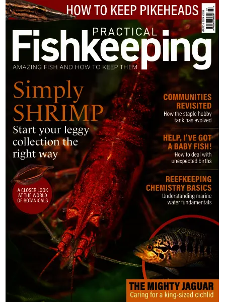 Practical Fishkeeping March 2024
