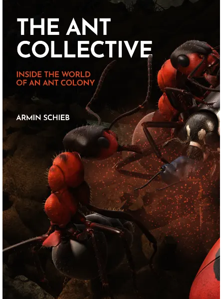 The Ant Collective Inside the World of an Ant Colony