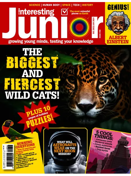 Very Interesting Junior December January 2024