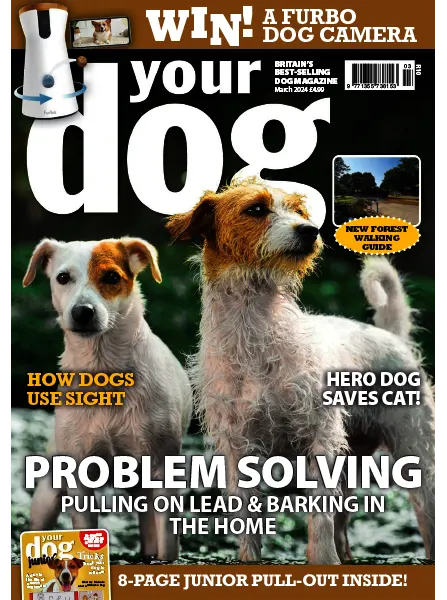 Your Dog March 2024