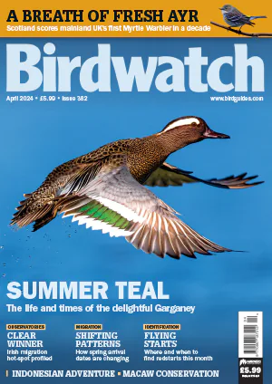 Birdwatch UK – April 2024 Download PDF