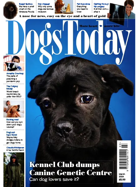 Dogs Today UK March 2024 freemagazines.top