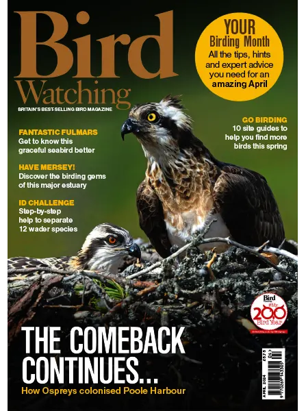 Bird Watching UK April 2024