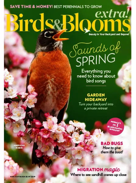 Birds and Blooms Extra March 2024 freemagazines.top