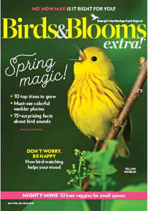 Birds and Blooms Extra May 2024