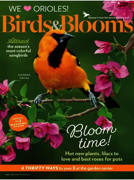 Birds Blooms April May 2024