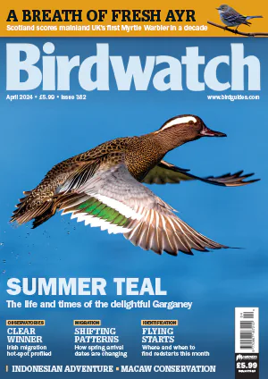 Birdwatch UK April 2024