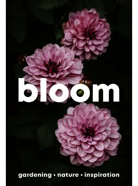 Bloom Issue 16 Spring Summer 2024 freemagazines.top
