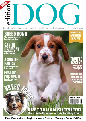 Edition Dog Issue 66 2024