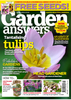 Garden Answers April 2024