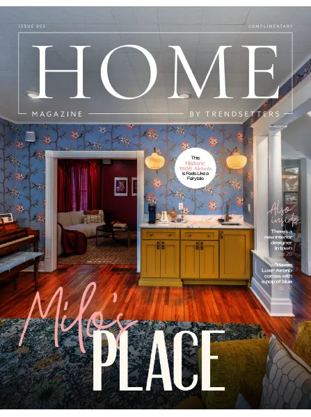 HOME by Trendsetters March 2024 freemagazines.top