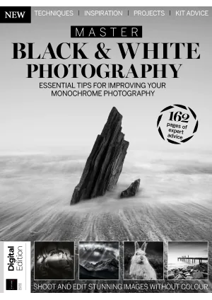 Master Black White Photography 2nd Edition 2024