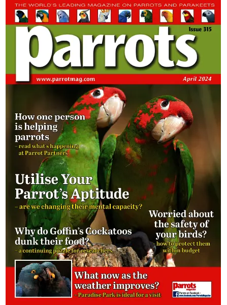 Parrots April 2024