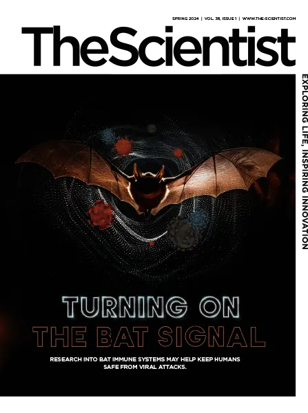 The Scientist Vol.38 Issue1 Spring 2024