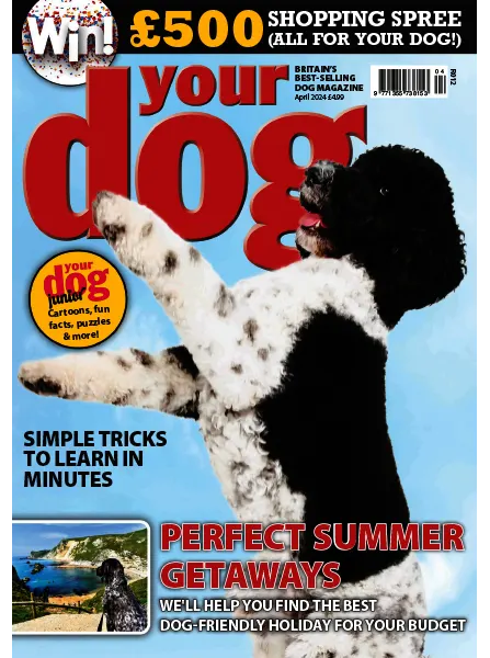 Your Dog April 2024 freemagazines.top