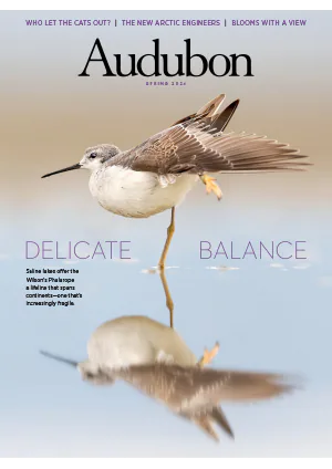 Audubon Magazine Spring 2024