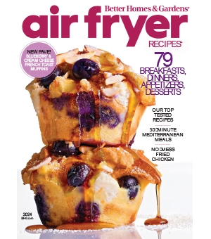 Better Homes Gardens USA Air Fryer 2024