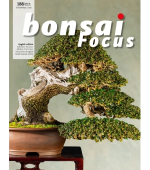 Bonsai Focus May June 2024