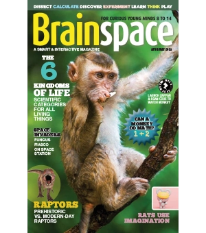 Brainspace April May 2024