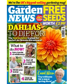 Garden News 20 April 2024
