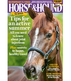 Horse Hound 11 April 2024