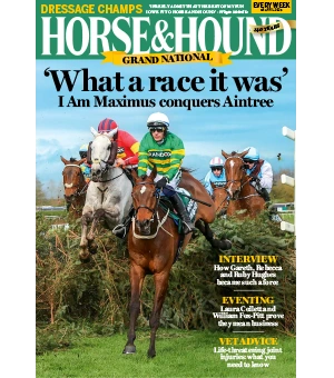 Horse Hound 18 April 2024