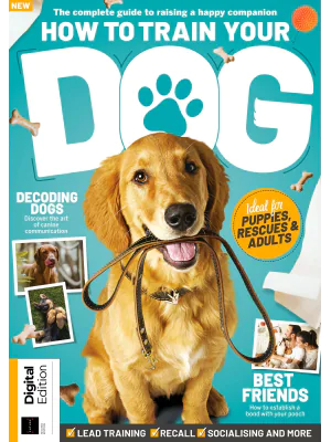 How to Train Your Dog 2nd Edition 2024