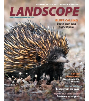 Landscope Magazine Volume 39 Number 3 Autumn 2024