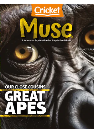 Muse April 2024