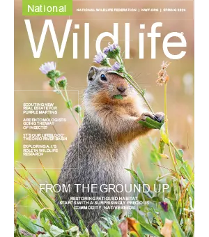 National Wildlife Spring 2024