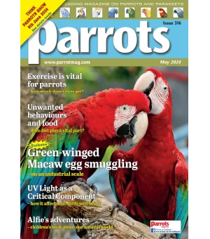 Parrots May 2024