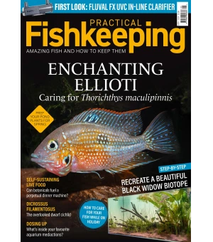 Practical Fishkeeping May 2024