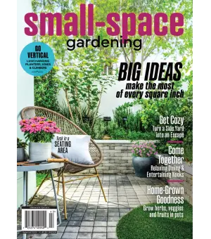 Small Space Gardening 2024