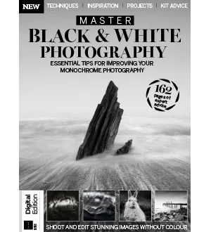 Master Black White Photography 2nd Edition 2024