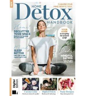 The Home Detox Handbook 1st Edition 2024