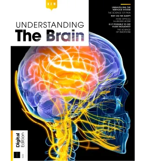 Understanding The Brain 2nd Edition 2024