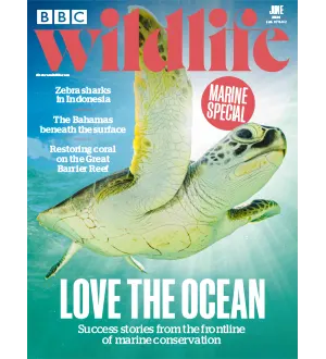 BBC Wildlife June 2024